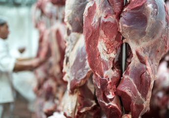 Bagaimana Cara Membedakan Daging Kurban Sapi dan Kambing?