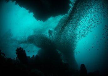 Di Mana Gua Bawah Laut Terbesar di Dunia?