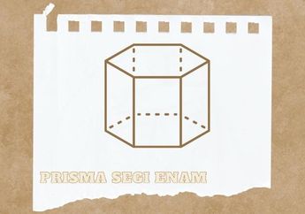 Apa Saja Jenis-Jenis Prisma Segi Enam?