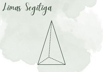 Apa Saja Ciri-Ciri Limas Segitiga?