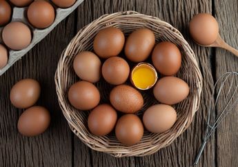 Apa Bedanya Telur Omega 3 dengan Telur Biasa? #AkuBacaAkuTahu