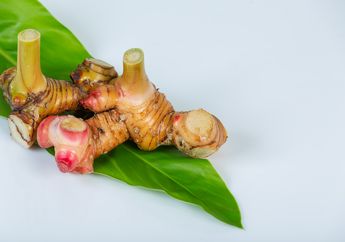 5 Cara Menyimpan Lengkuas Agar Tidak Kering dan Tahan Lama, Bisa Awet Hingga Dua Bulan