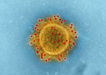 Jawab Soal IPA Kurikulum Merdeka Kelas 10, Perananan Virus No. 1-2