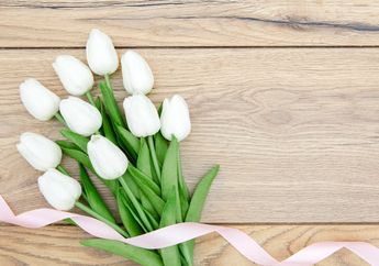 Ada Tulip hingga Dahlia, Ini 6 Bunga Berwarna Putih yang Cocok untuk Hias Rumah