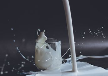 Protein Apa yang Membuat Susu Sapi Berwarna Putih?