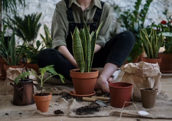 Hobi Berkebun? Ini 5 Manfaat Berkebun yang Masih Jarang Disadari