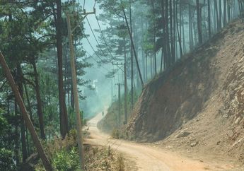 Cari Jawaban Kelas 4 SD Tema 3, Penjelasan Penyebab dan Dampak Tanah Longsor