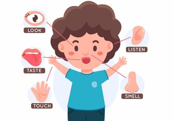Jawab Soal Bahasa Inggris Kurikulum Merdeka Kelas X Chapter II, Task 2 Categories of Senses
