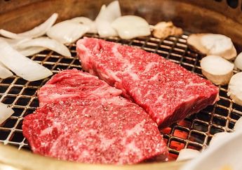 Mengenal Apa Itu Wagyu, Daging Mewah Khas Jepang