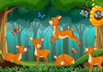 Dalam Bahasa Inggris Disebut Mouse Deer, Sebenarnya Kancil Termasuk Tikus atau Rusa?