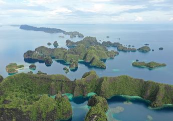 Apa Itu Papua Barat Daya?