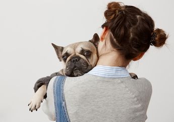 Jangan Sampai Terlambat, Cegah Virus Rabies pada Anjing dengan 4 Cara Ini