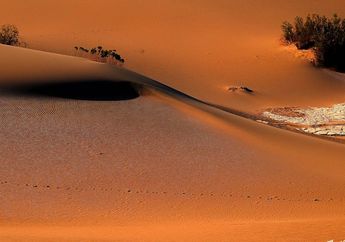 Apakah Salju Pernah Turun di Gurun Sahara?