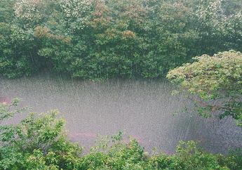 Di Mana Tempat Paling Sering Hujan di Dunia?