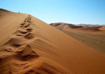 Sangat Panas di Siang Hari, Berapa Suhu Gurun Sahara pada Malam Hari?