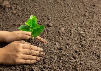 Mengapa Menanam Pohon Termasuk Usaha Menghemat Energi?