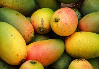 Apakah Biji Mangga Bisa Dimakan?
