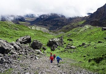 6 Fakta Unik Gunung Jayawijaya di Papua, Punya Gletser dan Salju Abadi di Puncaknya