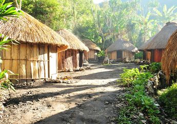 Suku-Suku di Pulau Papua dan Penjelasannya, Cari Jawaban Kelas 5 SD Tema 7
