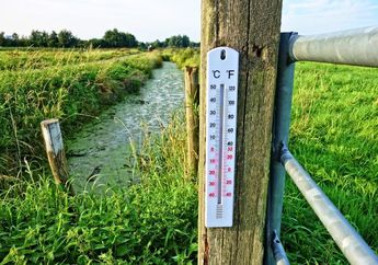 Apa Itu Skala Suhu Celsius, Fahrenheit, Kelvin, dan Reamur?