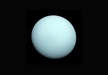 Hanya Terjadi Sekali Tiap Tahun, Apa Itu Fenomena Oposisi Uranus?