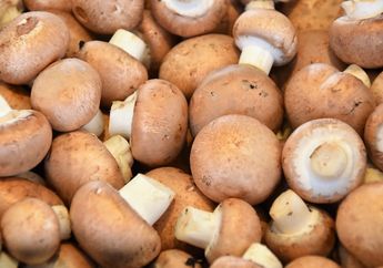 Jawab Soal Contoh Jenis Jamur dalam Kingdom Fungi, Biologi Kelas X Bab V