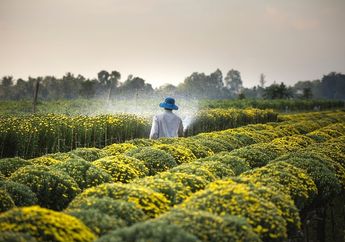5 Pengaruh Kemajuan Iptek di Bidang Pertanian