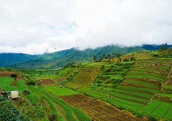 5 Penyebab Berkurangnya Air Tanah