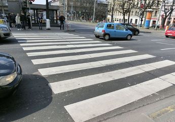 Kapan Zebra Cross Diciptakan?
