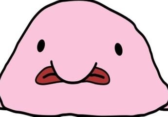 Fakta Menarik Blobfish, Ikan dengan Wajah yang Aneh