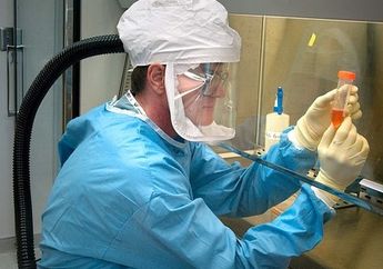 Biologi Kelas X: Peranan Organisme Prokariotik dalam Rekayasa Genetika