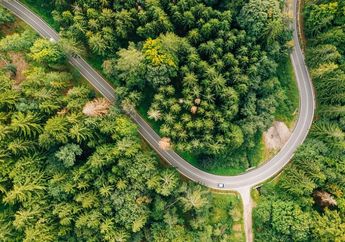 Apa Itu Eco Driving di Kendaraan, Teknik Mengemudi untuk Menghemat Bahan Bakar dan Menjaga Lingkungan