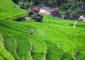 Kegiatan Pertanian yang Diterapkan di Indonesia