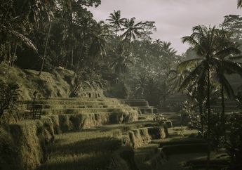 Tujuan dan Keuntungan Penggunaan Terasering di Daerah Pegunungan