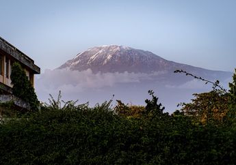 Apa Nama Gunung Api Tertinggi di Dunia?