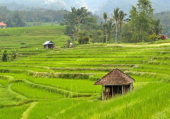 Apa Itu BUMDes? Materi Ekonomi Kelas 11 Kurikulum Merdeka
