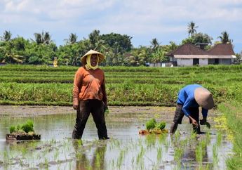 7 Bentuk Sistem Mata Pencaharian