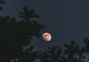 Berubah-ubah Bentuk, Berikut 8 Fase Bulan dan Deskripsi Bentuknya