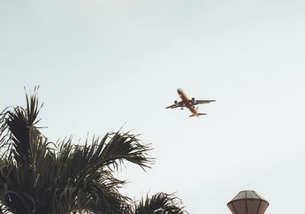 Bagaimana Cara Pesawat Mencari Jalan di Udara?