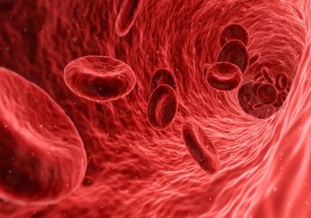 4 Komponen Darah Manusia, Materi Biologi Kelas XI Kurikulum Merdeka