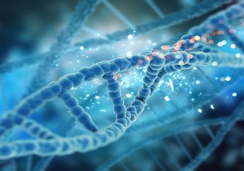 3 Jenis RNA, Materi Biologi Kelas XII Kurikulum Merdeka