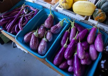 5 Manfaat Terong bagi Kesehatan