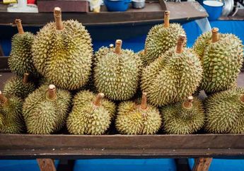 Kenapa Kulit Buah Durian Berduri?