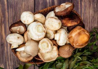 5 Kandungan Jamur yang Membuatnya Bermanfaat untuk Kesehatan
