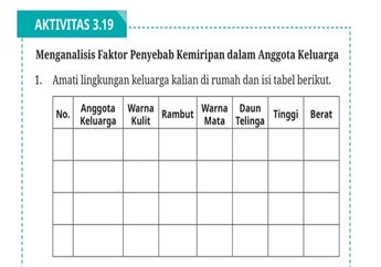 Jawab Soal Aktivitas 3.19 Menganalisis Faktor Penyebab Kemiripan dalam Anggota Keluarga, Materi Biologi Kelas XII Kurikulum Merdeka
