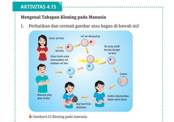 Jawab Soal Aktivitas 4.15 Mengenal Tahapan Kloning pada Manusia, Materi Biologi Kelas XII Kurikulum Merdeka