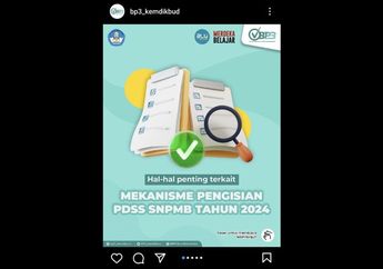 5 Tahapan Pengisian PDSS SNPMB 2024, Penting Diketahui!