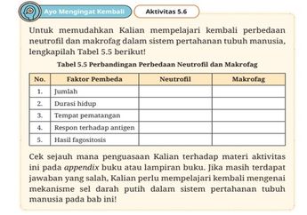 Jawab Soal Aktivitas 5.6 Perbedaan Neutrofil dan Makrofag, Materi Biologi Kelas XI Kurikulum Merdeka