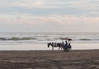 Daftar 40 Kosakata dalam Bahasa Inggris yang Berkaitan dengan Pantai
