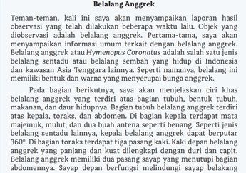 Jawab Soal Kegiatan 2 Analisis Laporan Hasil Observasi Teks 'Belalang Anggrek', Bahasa Indonesia Kelas X